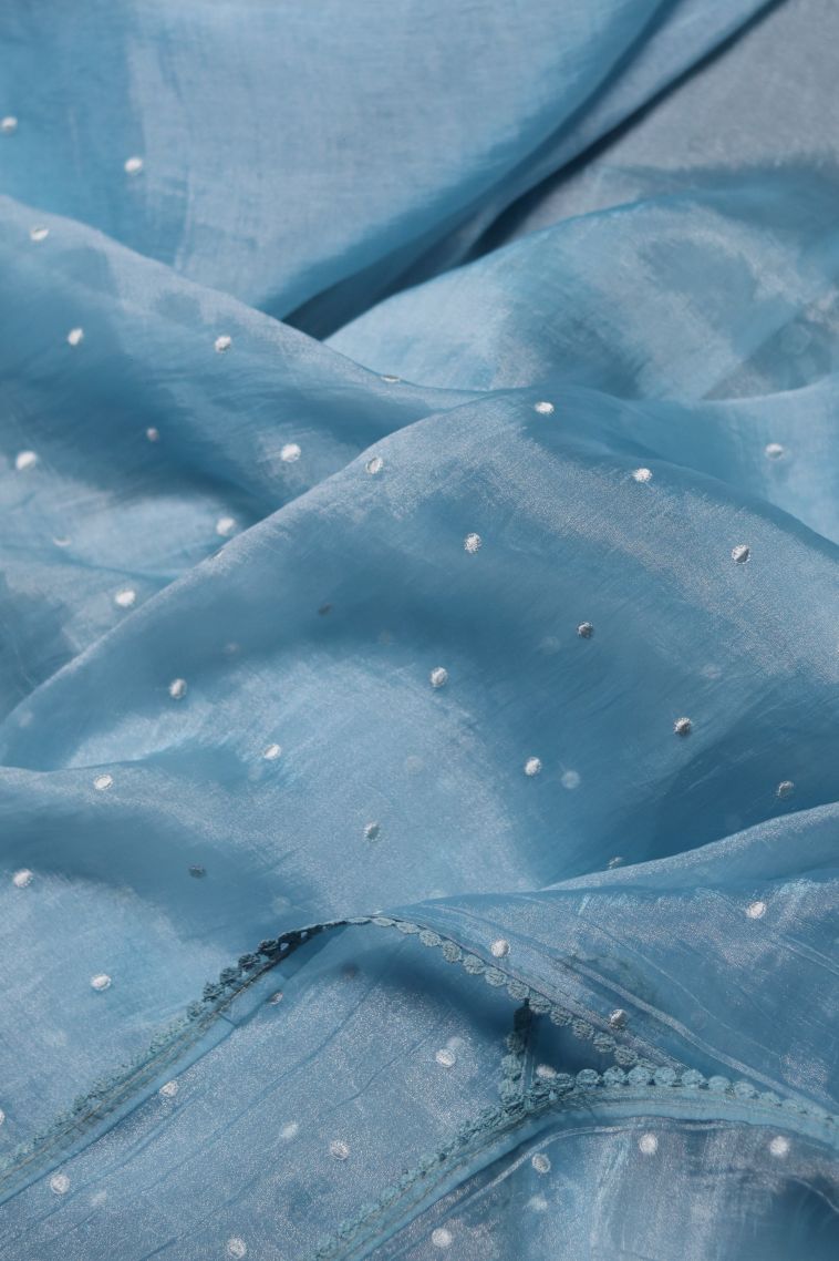 Organza Saree in Light Blue Shade with Floral and Nature Designs view 4