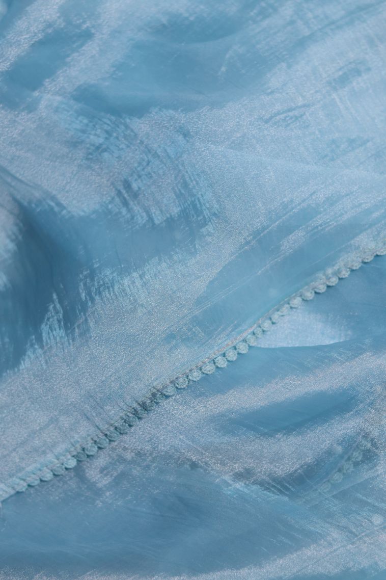 Organza Saree in Light Blue Shade with Floral and Nature Designs view 3