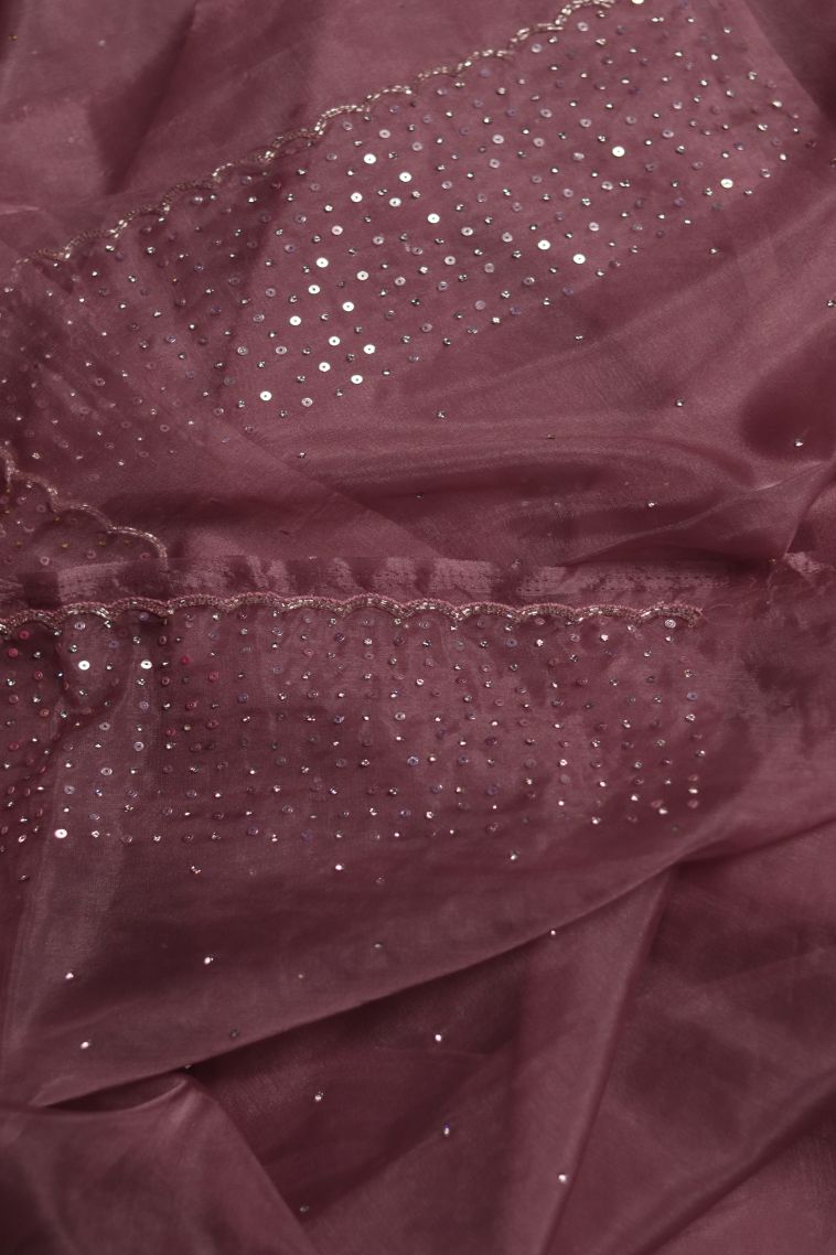 Classic Handwoven Organza Saree view 2