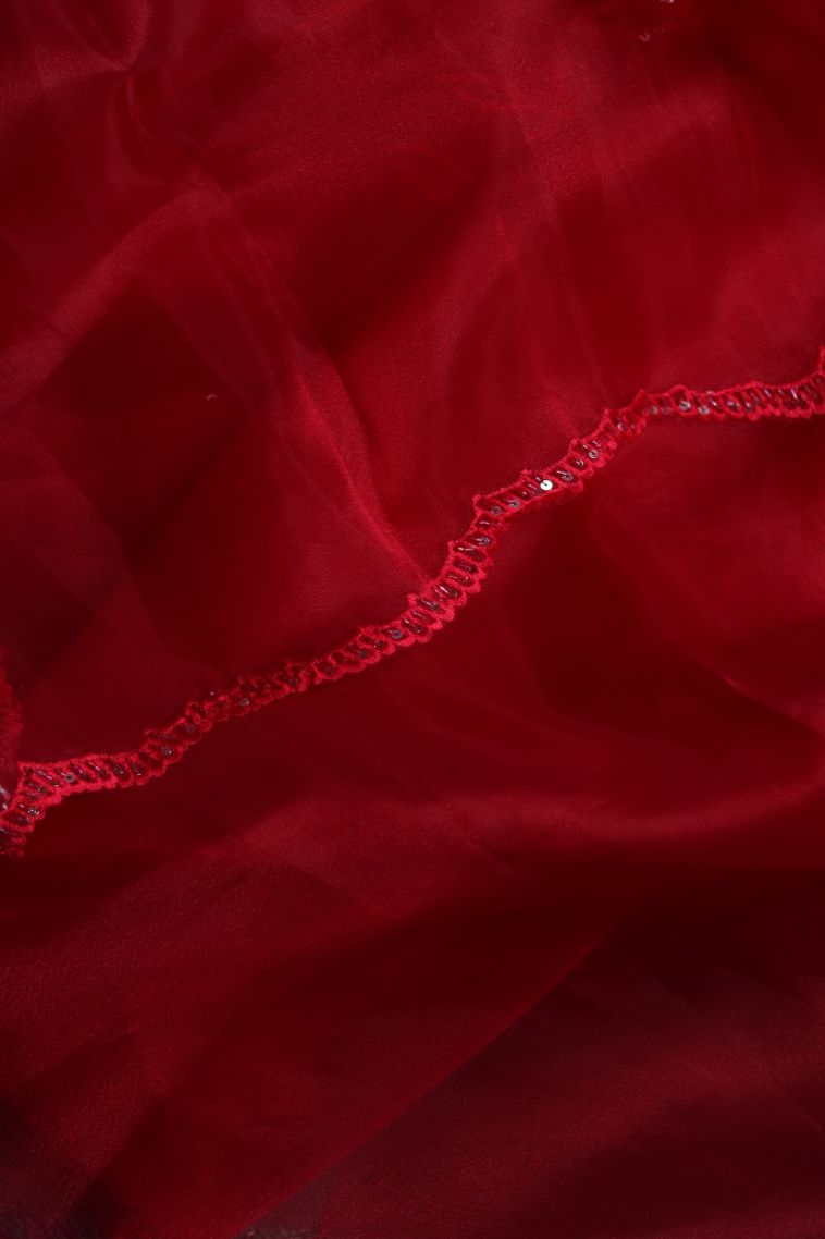 Organza Saree in Red Shade view 3
