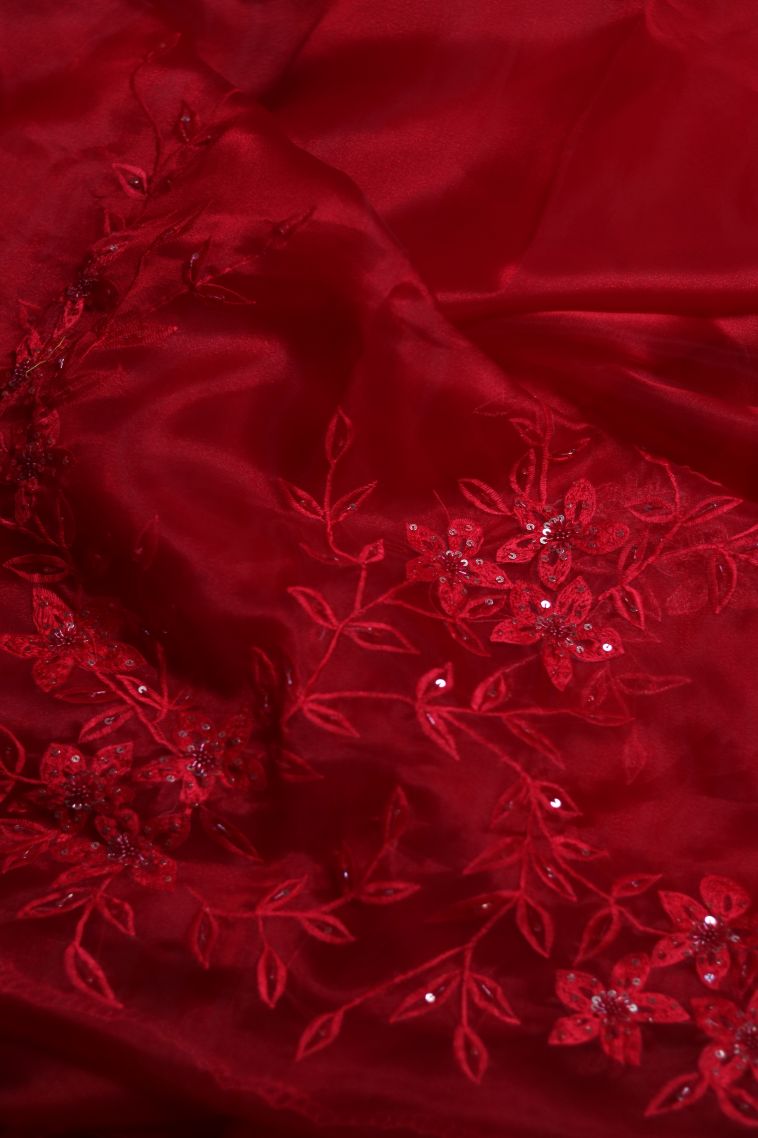 Organza Saree in Red Shade view 1