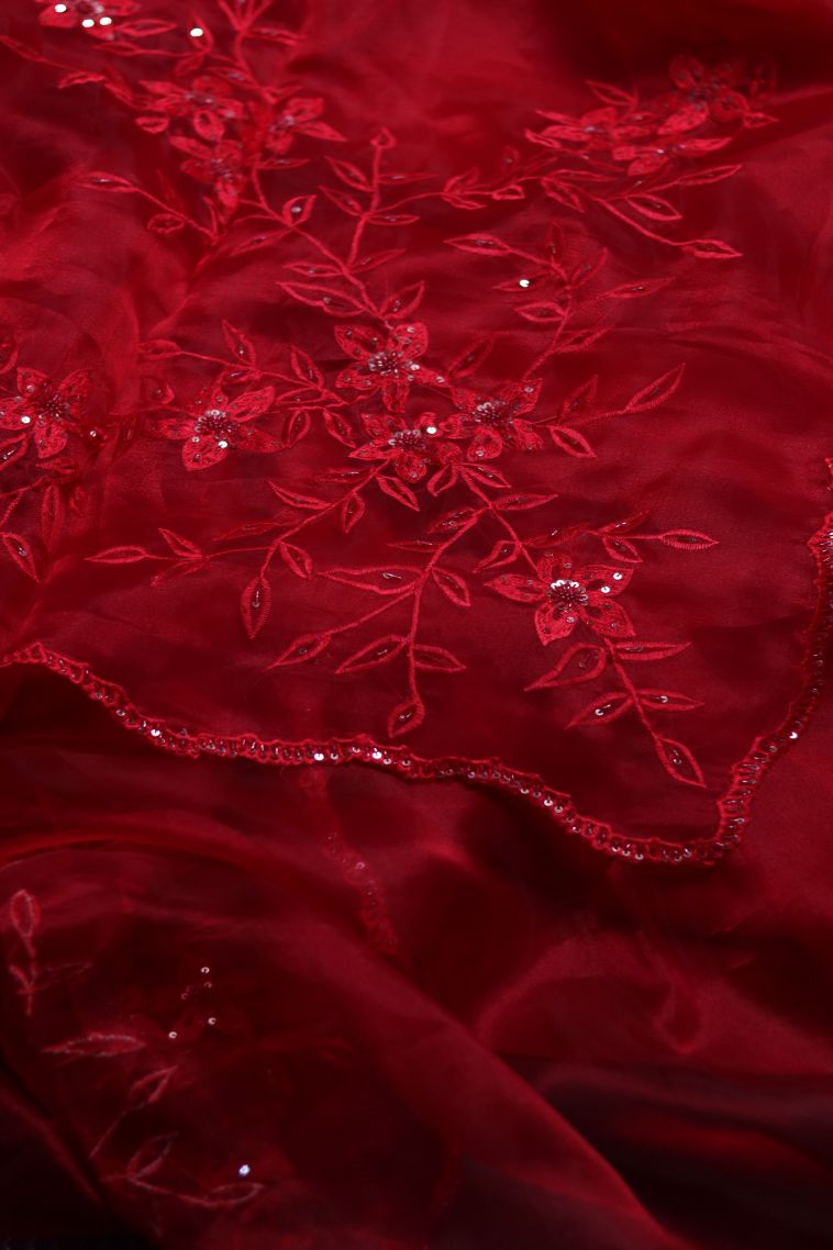 Organza Saree in Red Shade view 2