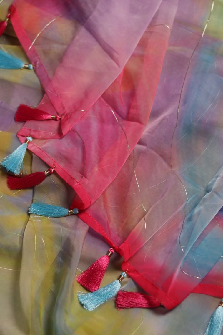 Party Wear Organza Saree with Elegant Tussles Finish view 1