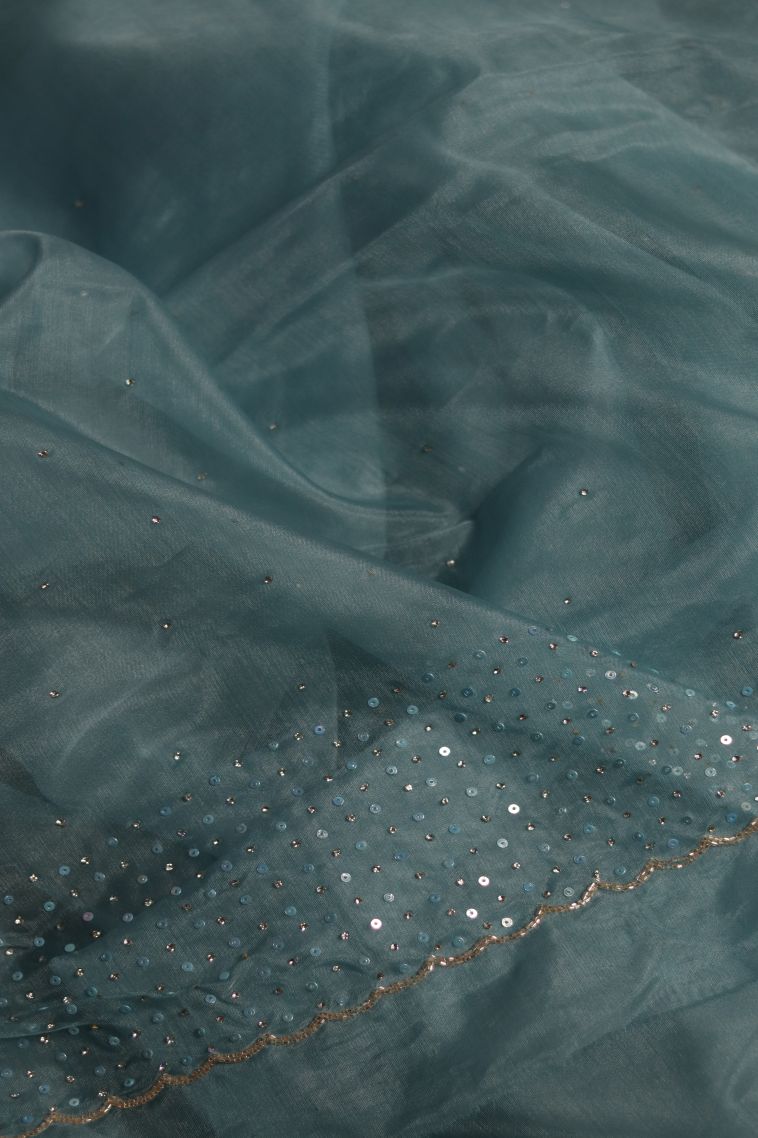 Designer Organza Saree in Blue with Elegant Floral Border view 3