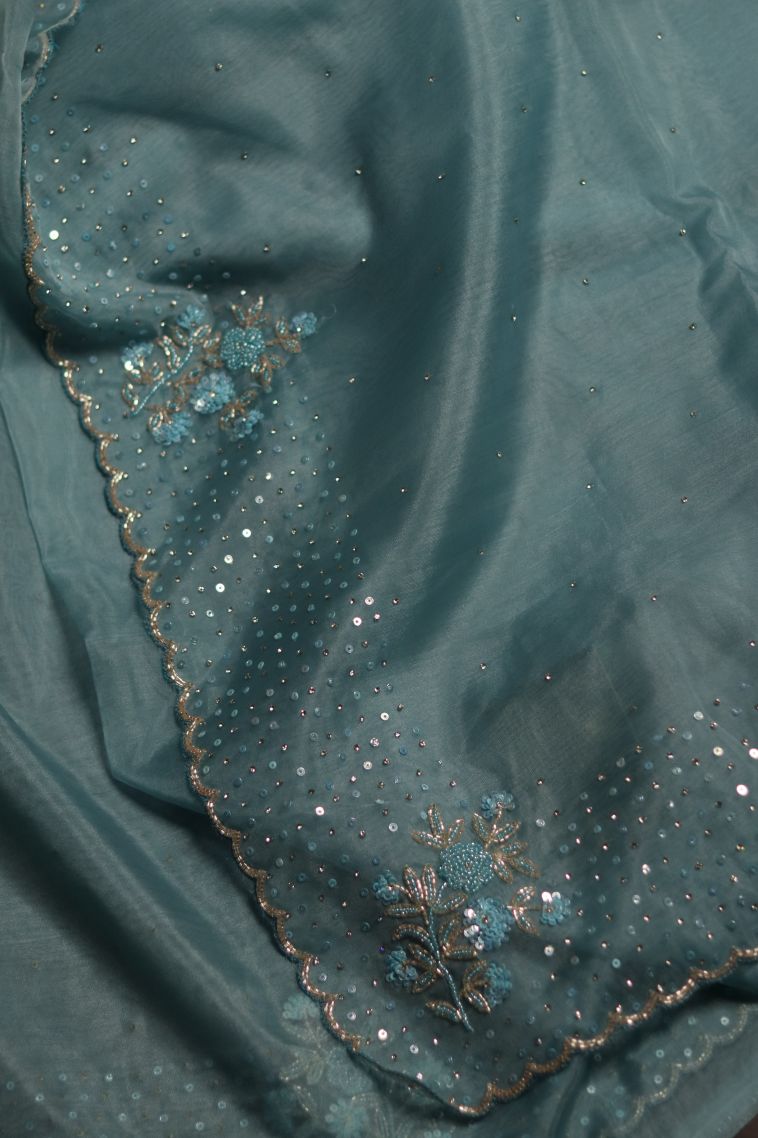Designer Organza Saree in Blue with Elegant Floral Border view 2