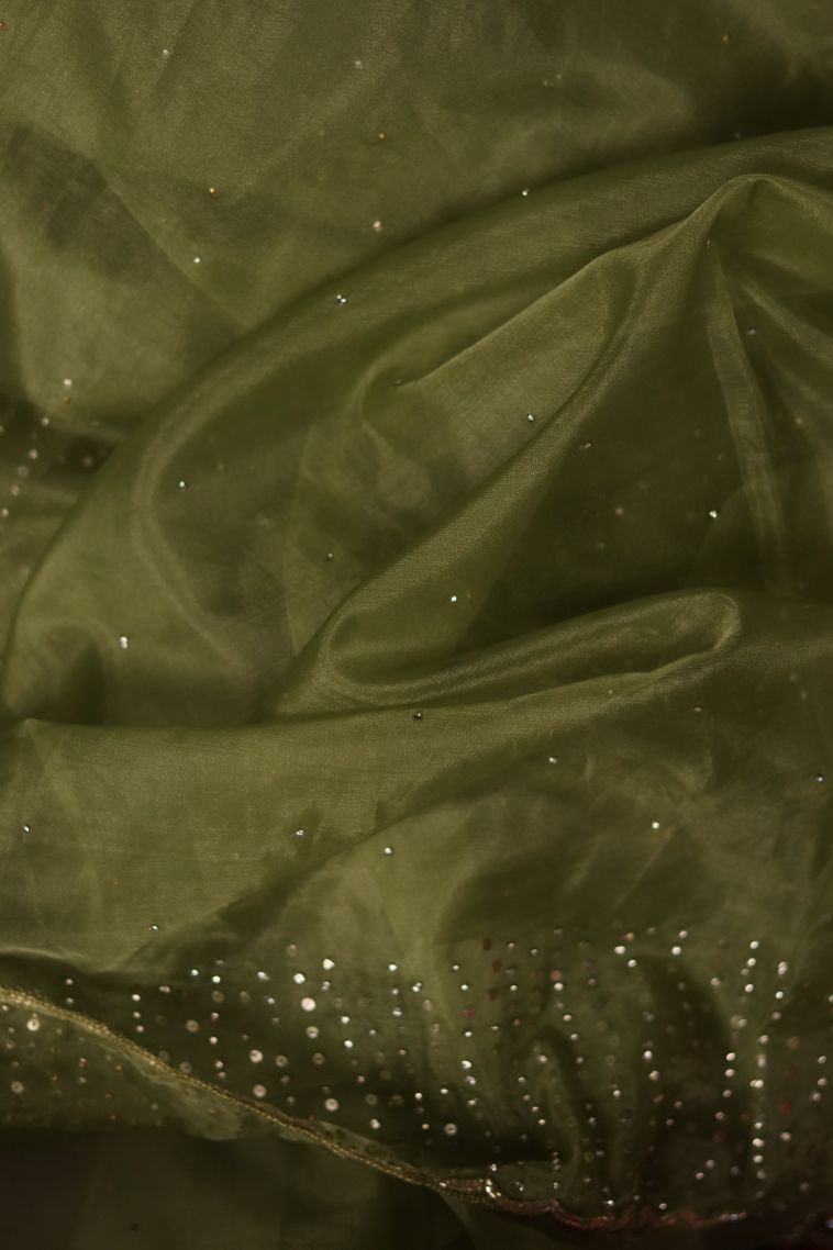 Traditional Dotted Organza Saree - Ideal for Festive view 4