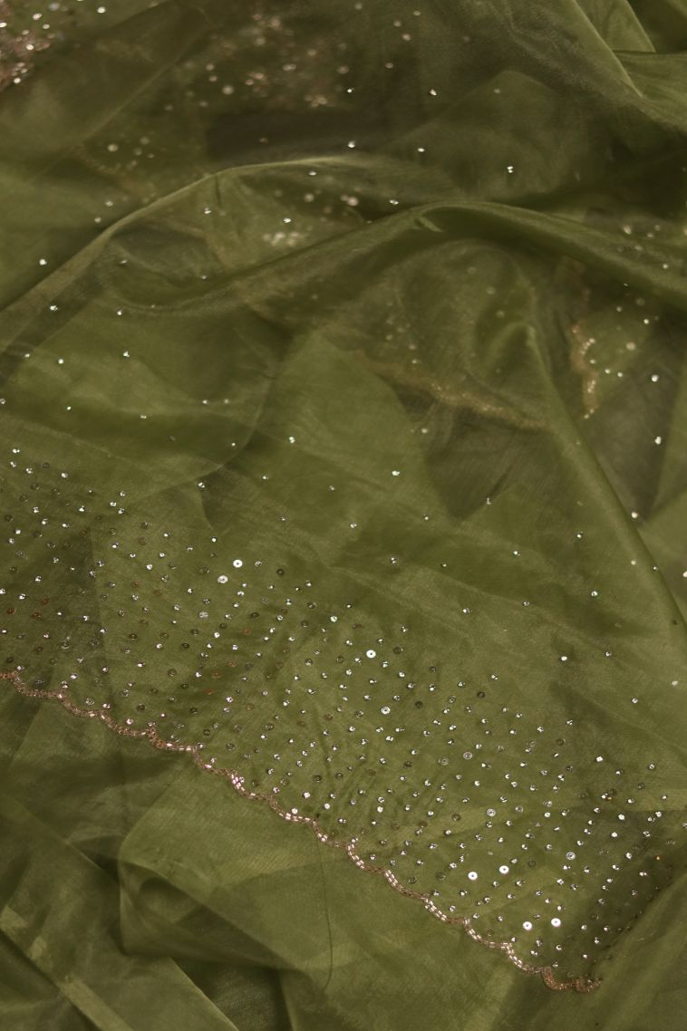 Traditional Dotted Organza Saree - Ideal for Festive view 3