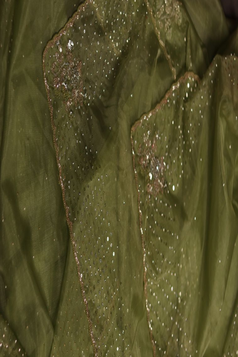 Traditional Dotted Organza Saree - Ideal for Festive view 2