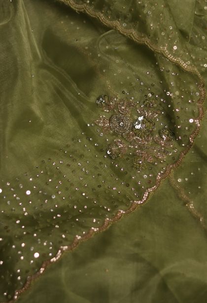 Traditional Dotted Organza Saree - Ideal for Festive