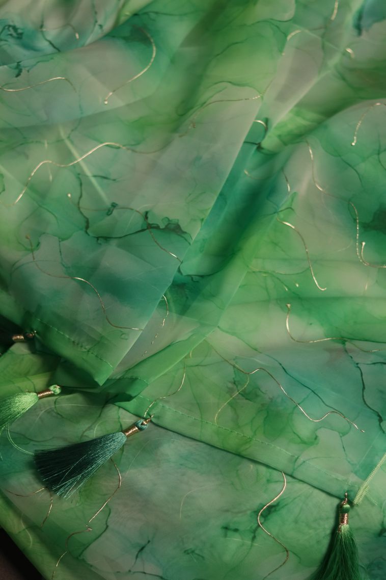 Designer Organza Saree with Printed Work - Party Collection view 2