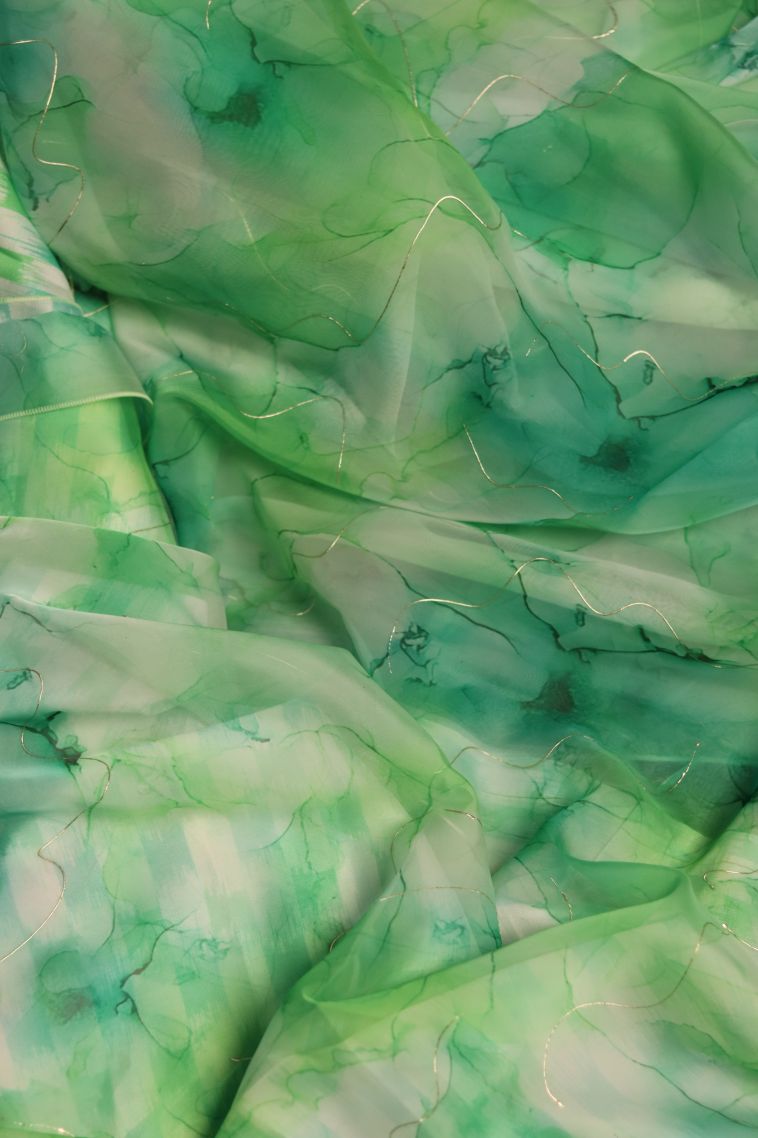 Designer Organza Saree with Printed Work - Party Collection view 4