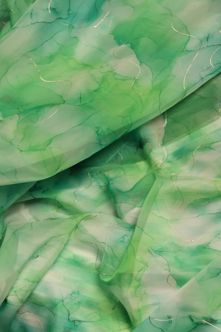 Designer Organza Saree with Printed Work - Party Collection view 1
